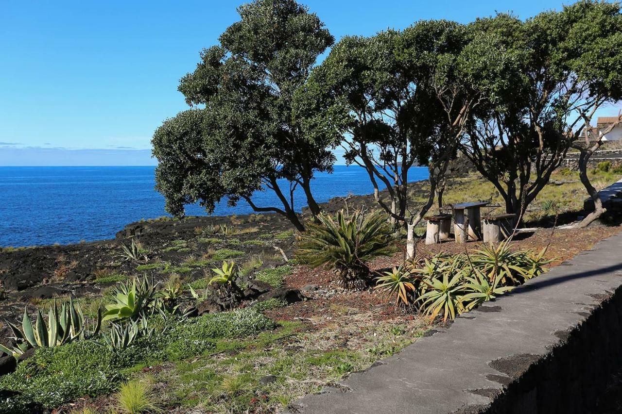 Casa D'Avo Francisco Guest House Madalena  Exterior foto